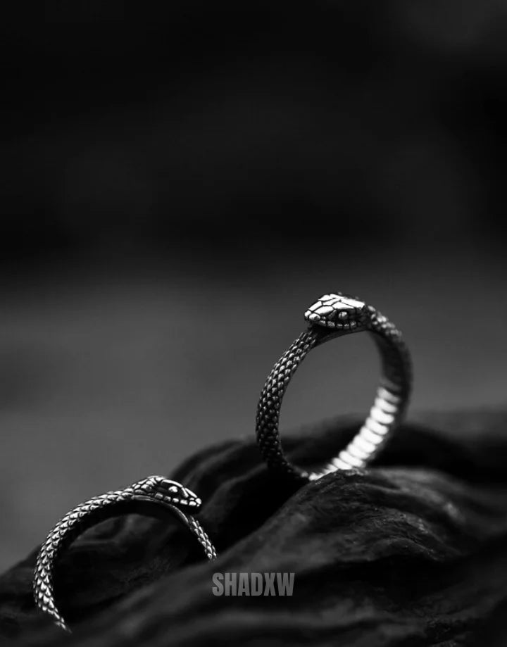 Ouroboros Ring