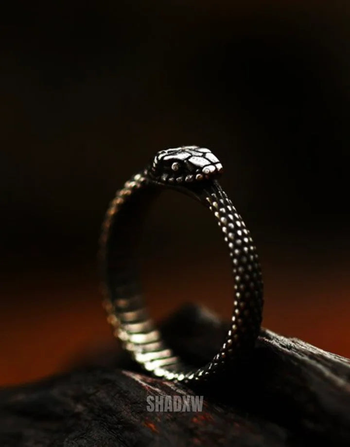 Ouroboros Ring