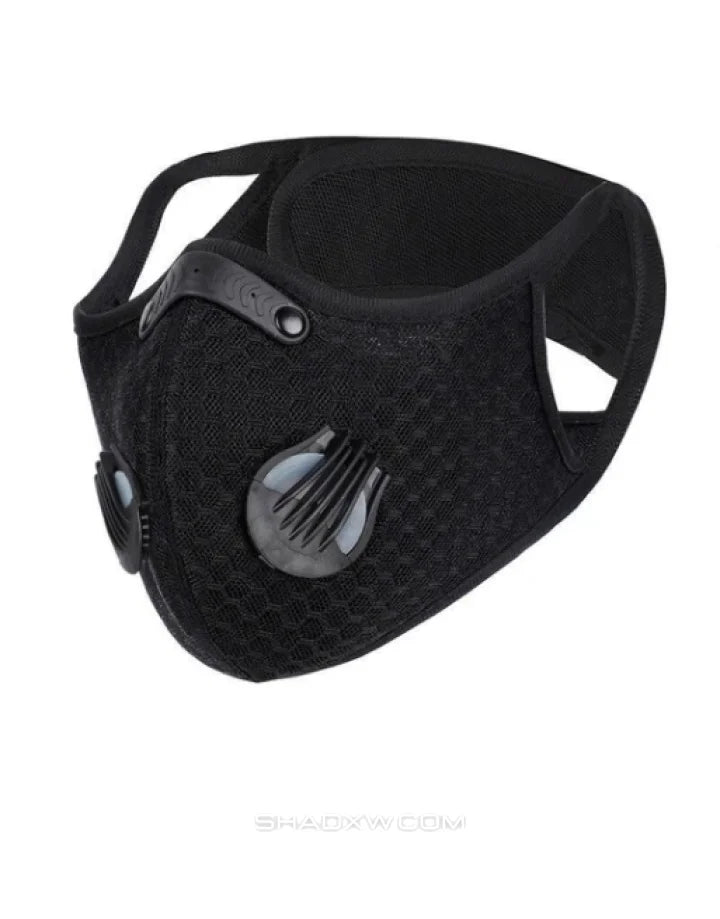 Air Pollution Face Mask